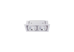Įleidžiamas šviestuvas DOWNLIGHT WHITE II